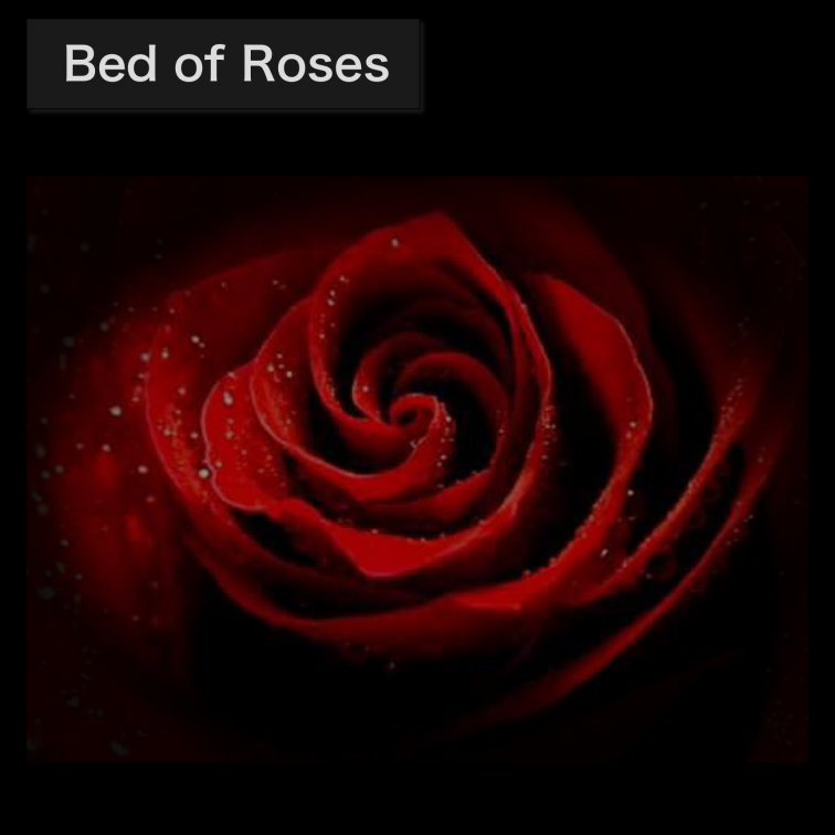 Bed Of Roses