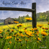 August Ever After