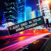 Died In Your Arms Tonight